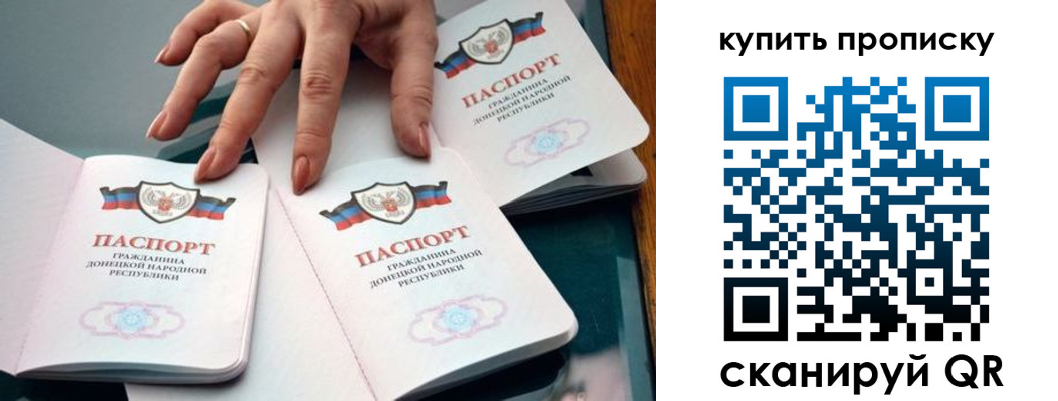 где прописаться в Дмитрове